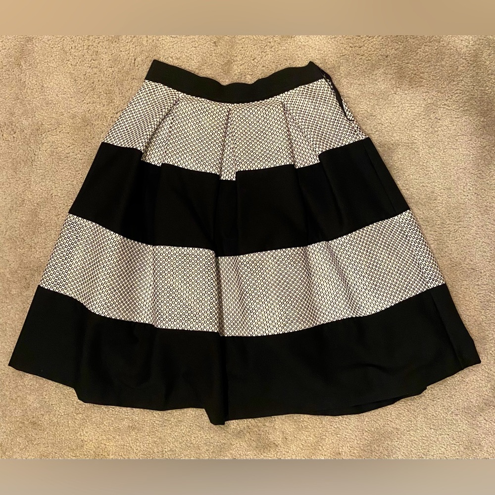 Skirt / brand: Ivonne / size 6